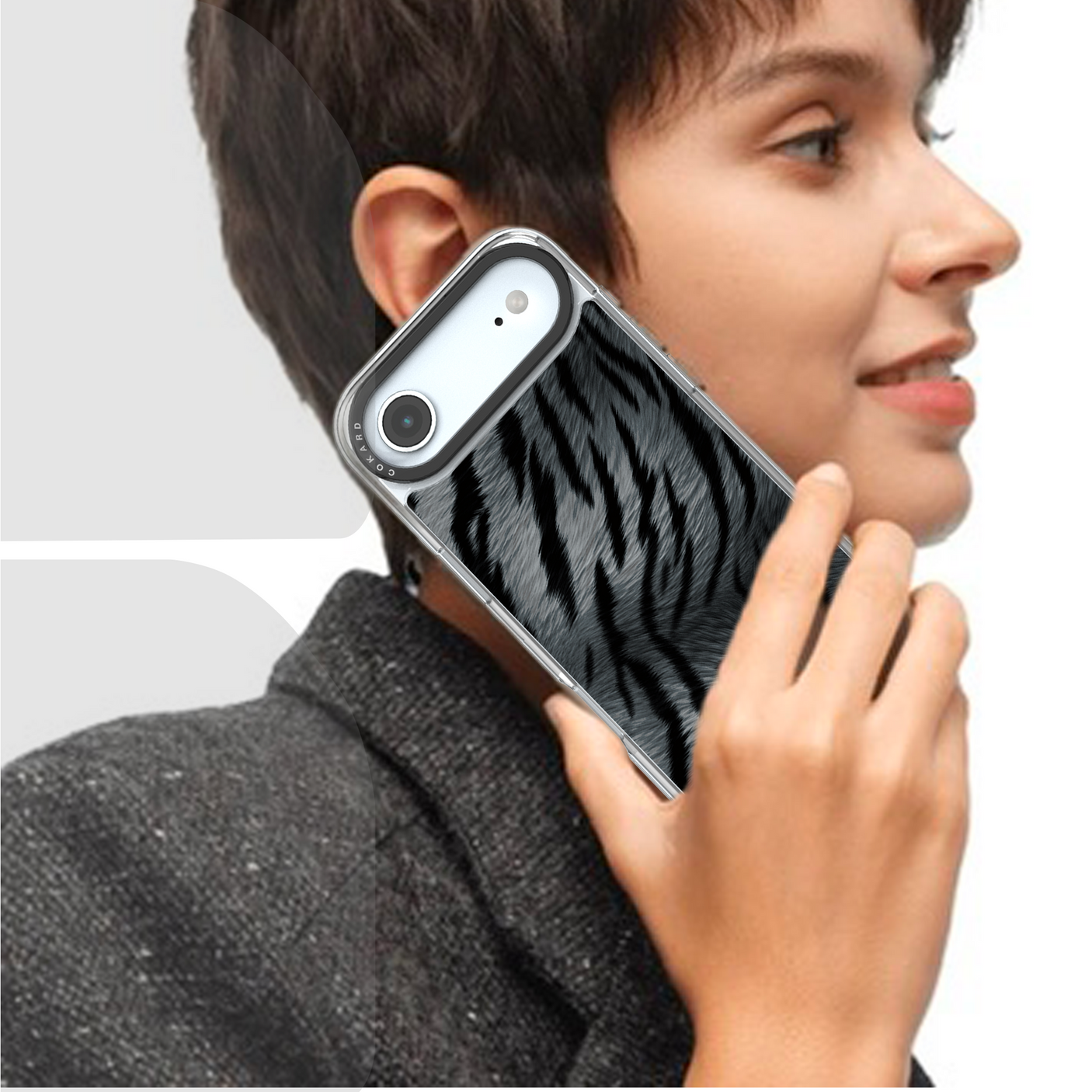 Tigre gris - Starter Pack