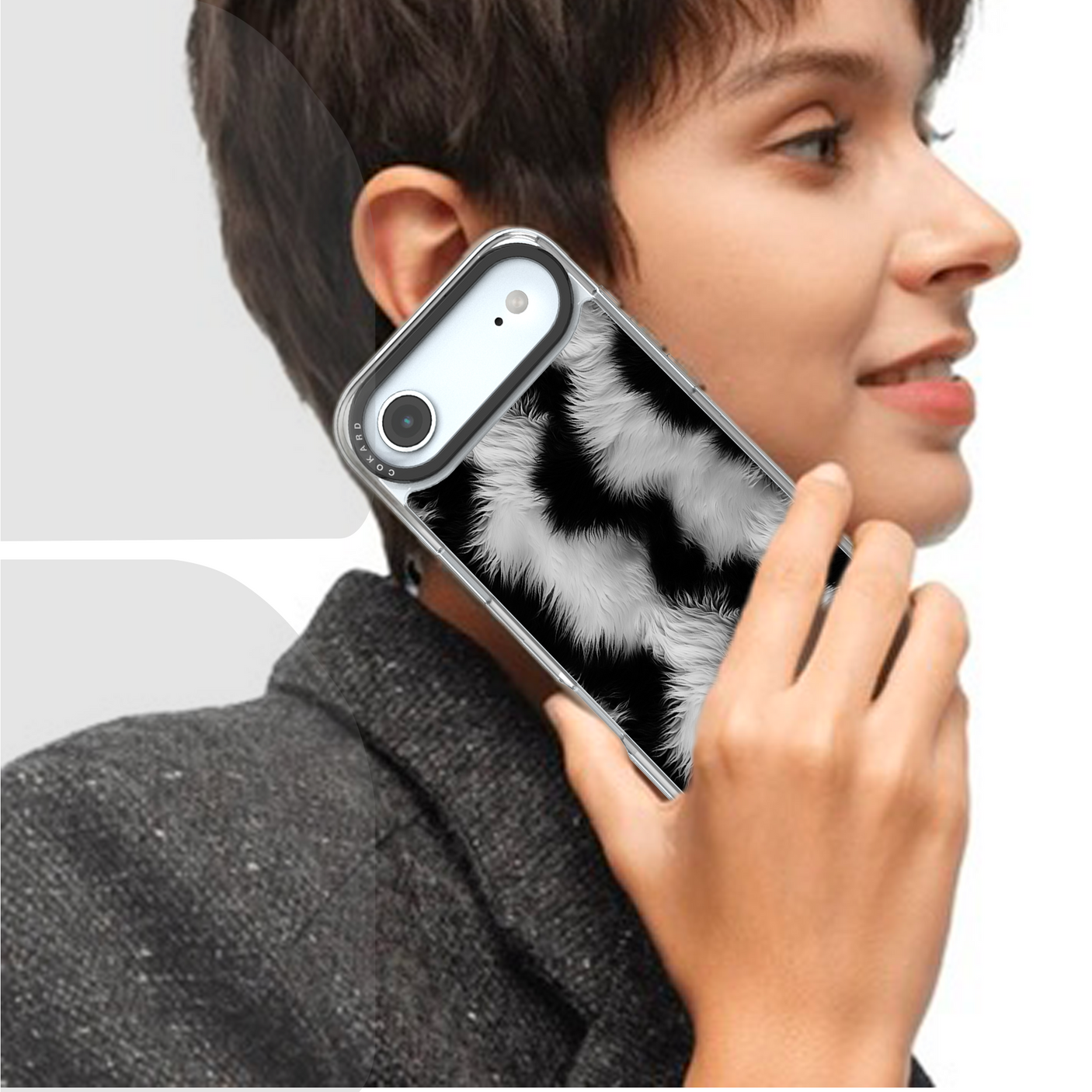 Zèbre blanc - Starter Pack