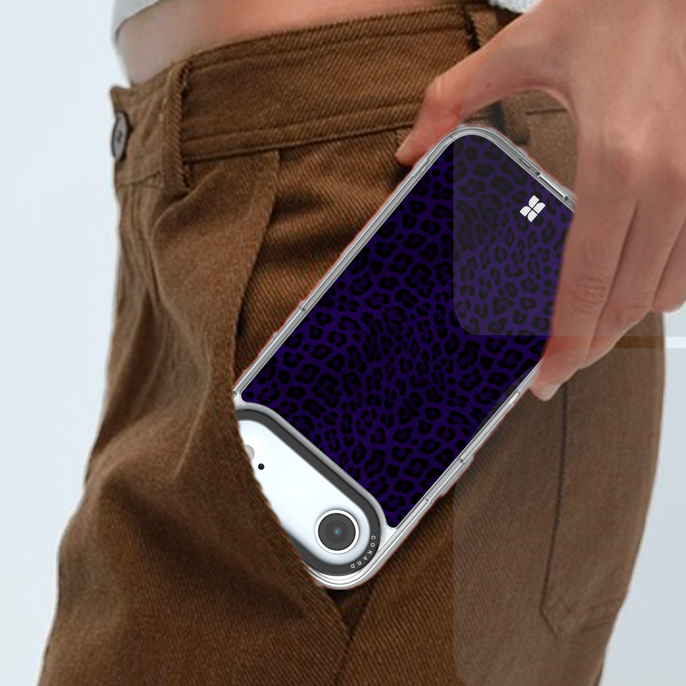 Leopard bleu - Starter Pack