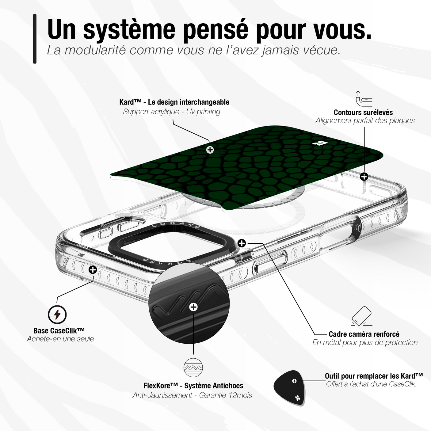 Reptile vert - Starter Pack