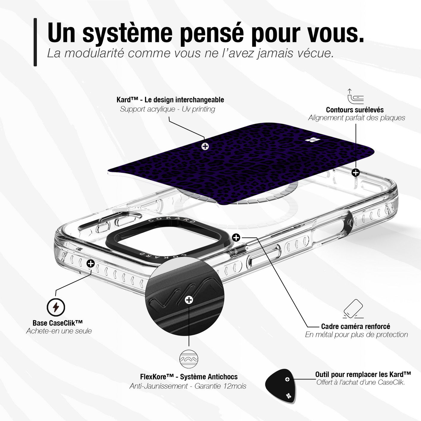 Leopard bleu - Starter Pack