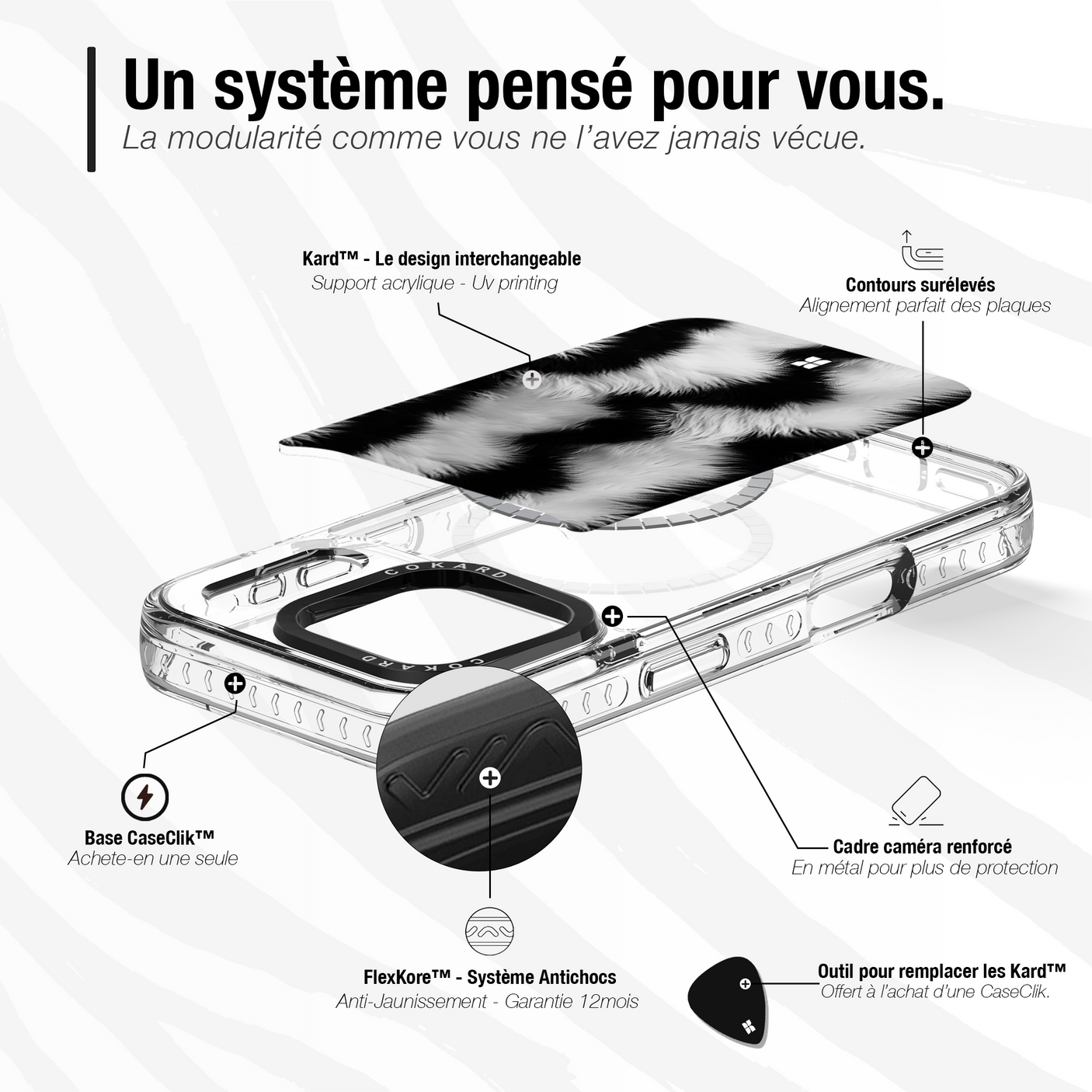 Zèbre blanc - Starter Pack