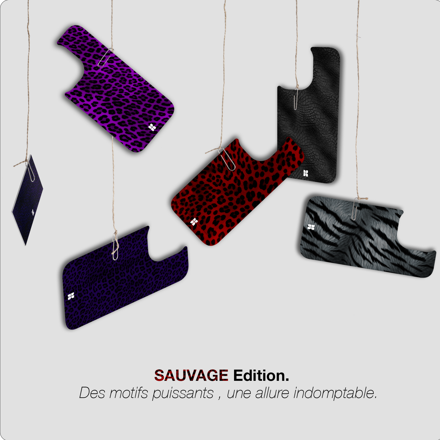 Leopard bleu - Starter Pack