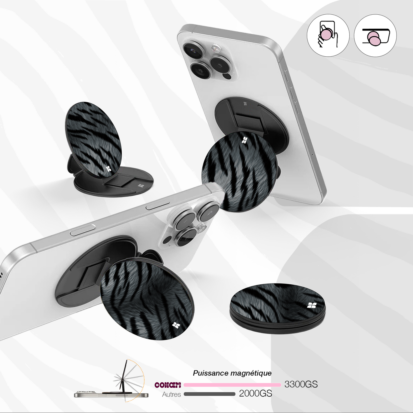 Tigre gris - Starter Pack