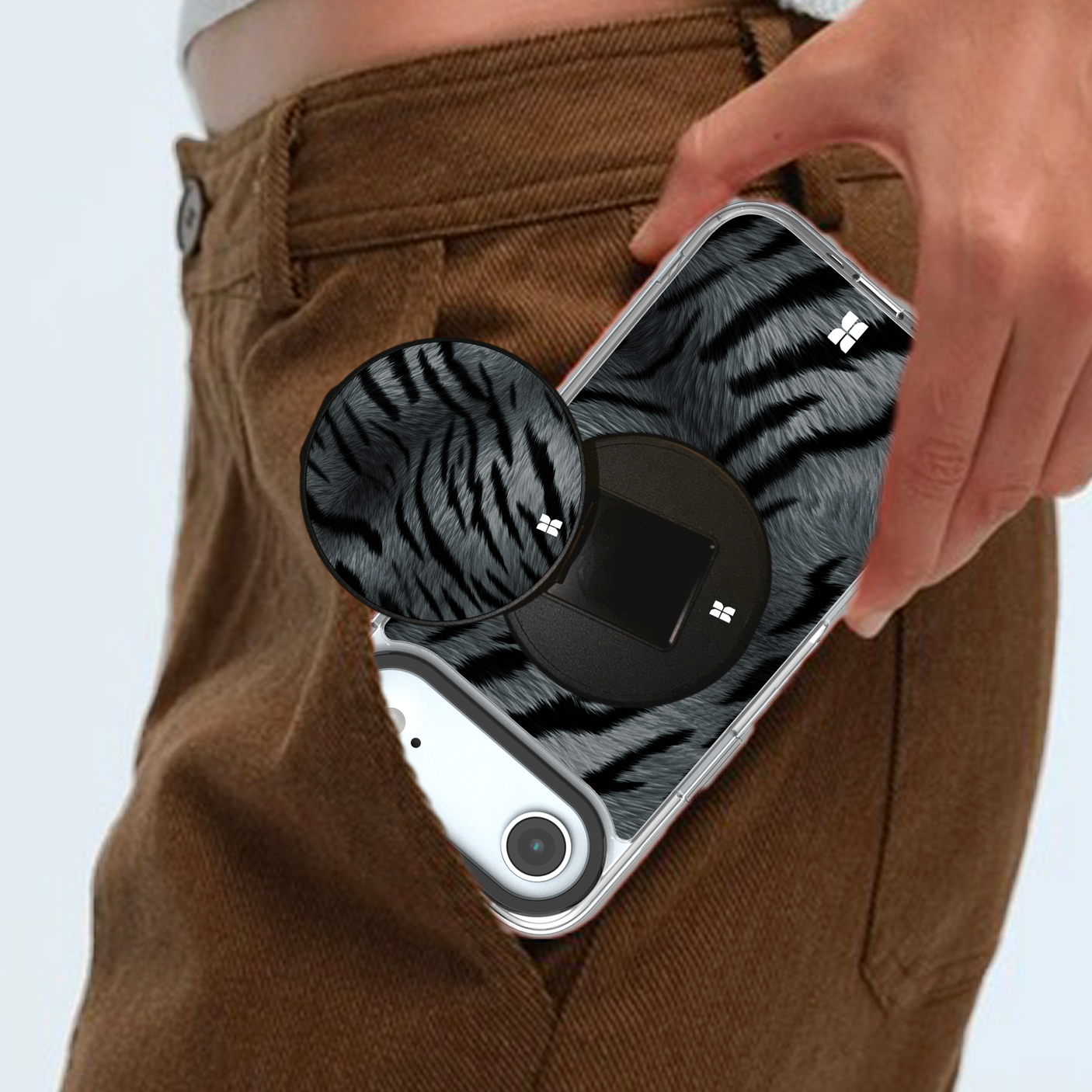 Tigre gris - Starter Pack