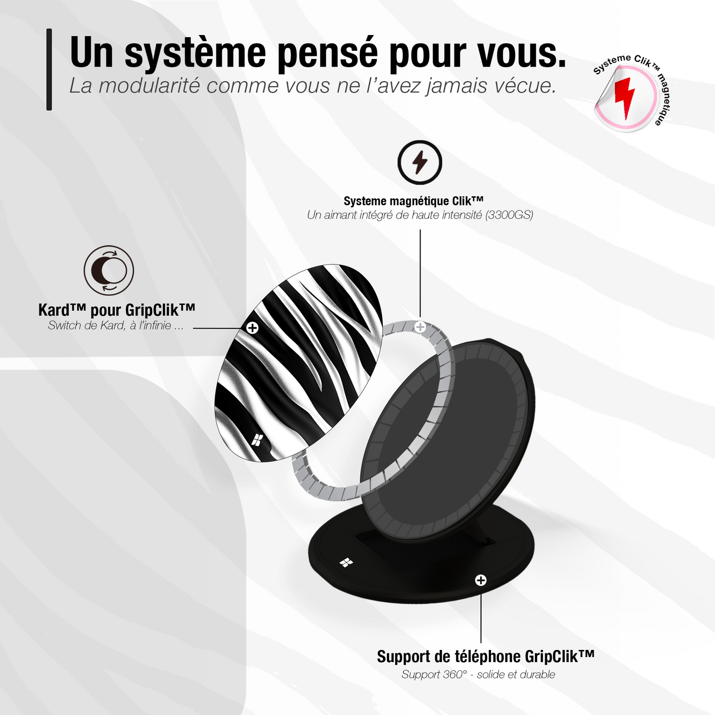 Zèbre blanc - Starter Pack