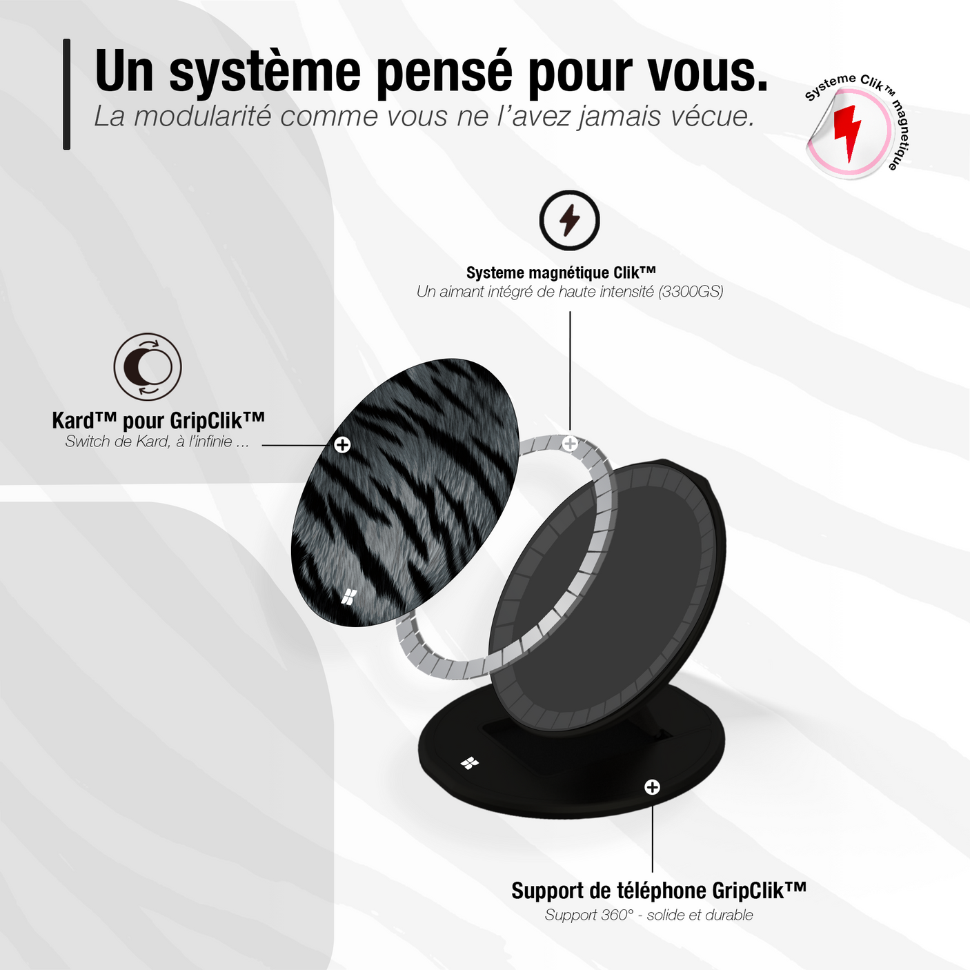 Tigre gris - Starter Pack