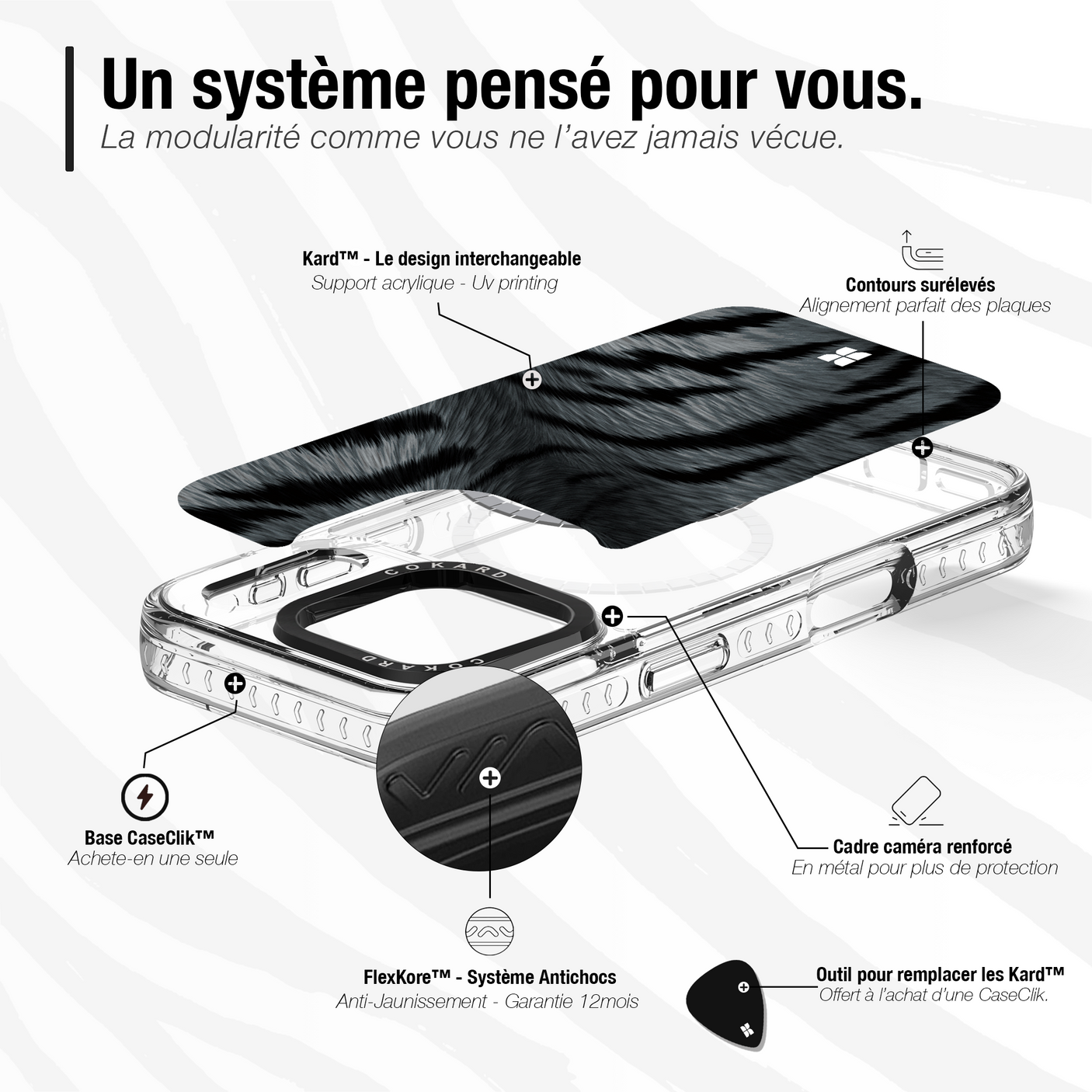 Tigre gris - Starter Pack