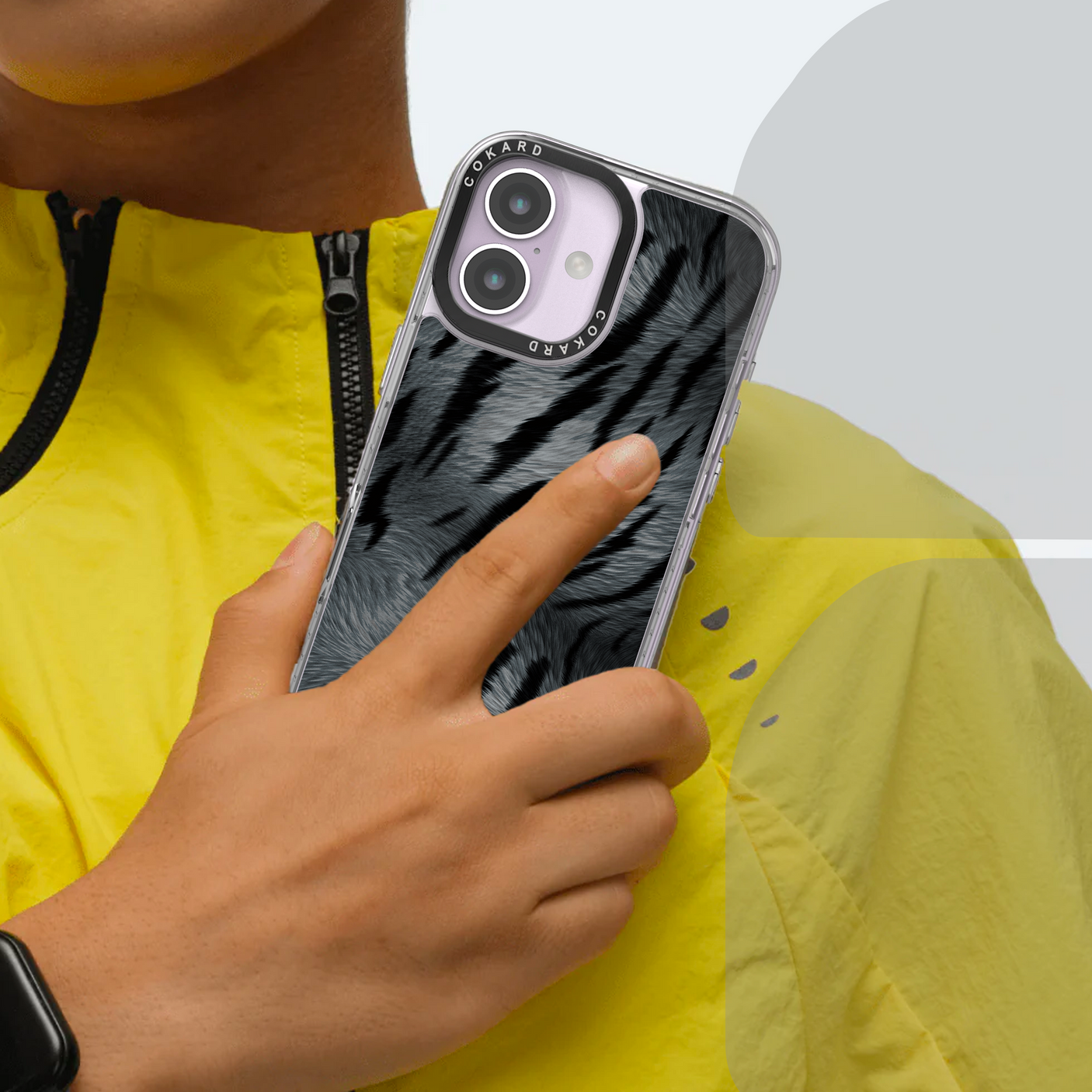 Tigre gris - Starter Pack