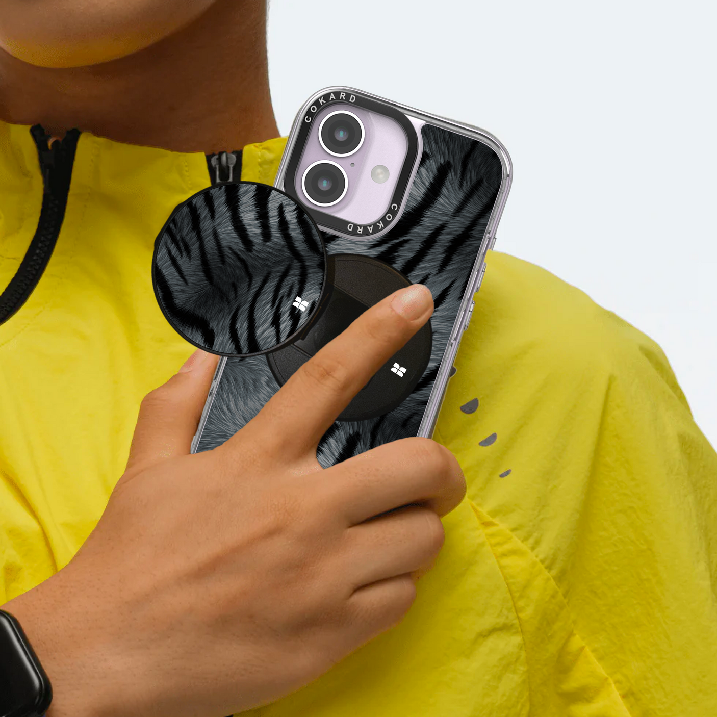 Tigre gris - Starter Pack