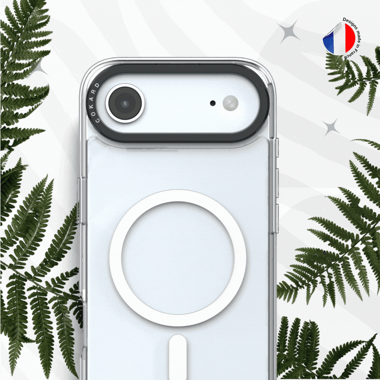 Tigre gris - Starter Pack