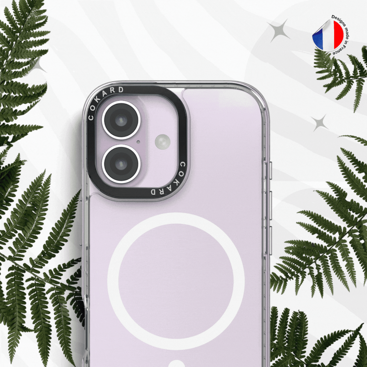 Tigre gris - Starter Pack