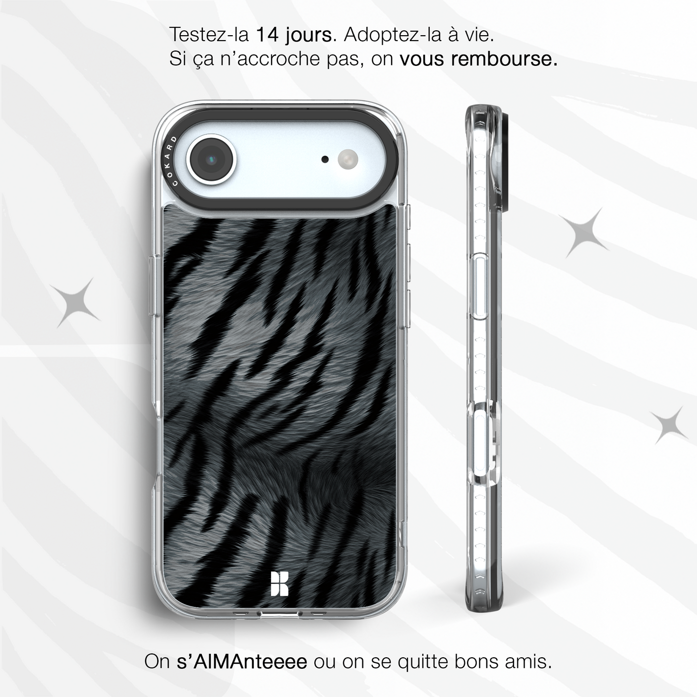 Tigre gris - Starter Pack