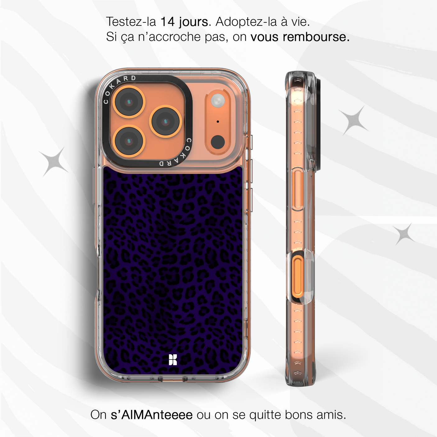 Leopard bleu - Starter Pack