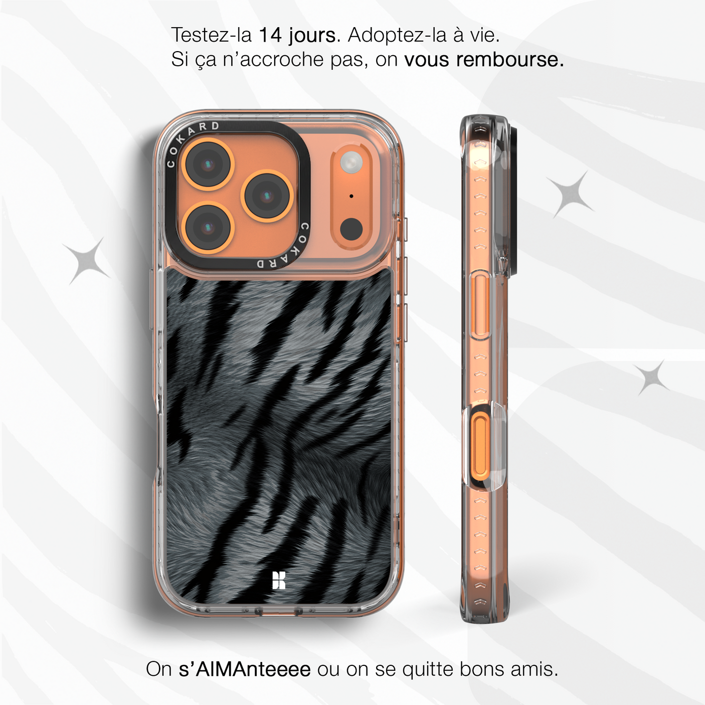 Tigre gris - Starter Pack