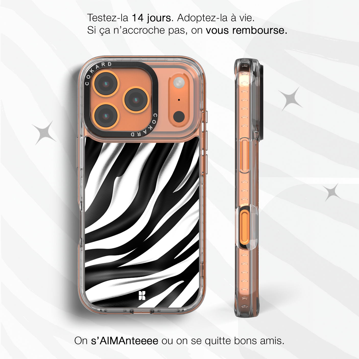 Zèbre blanc - Starter Pack