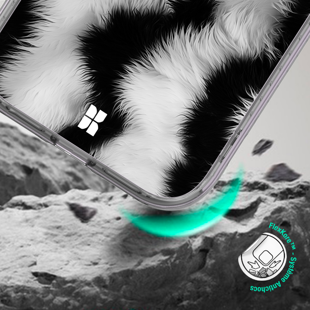 Zèbre blanc - Starter Pack