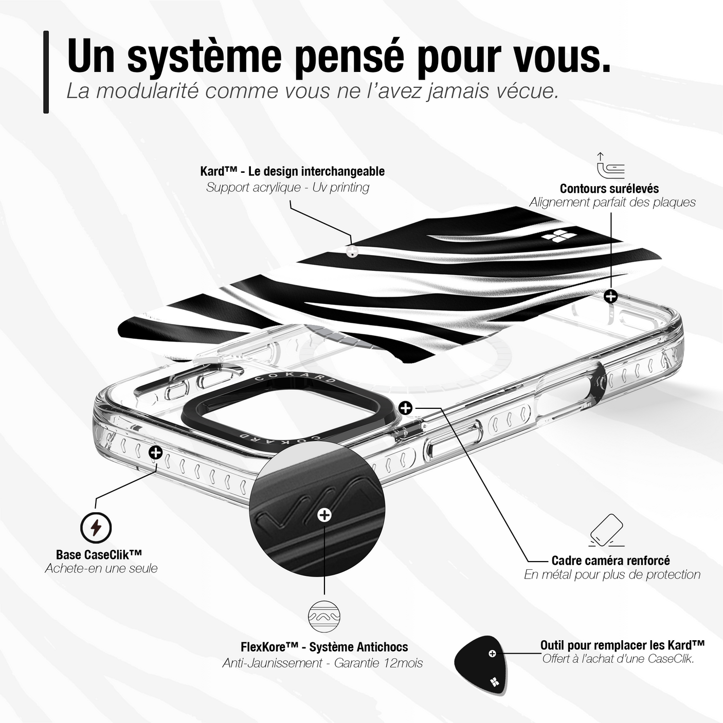 Zèbre blanc - Starter Pack