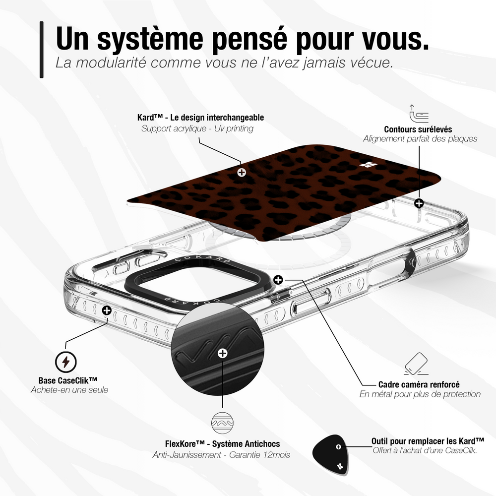 Leopard marron - Starter Pack