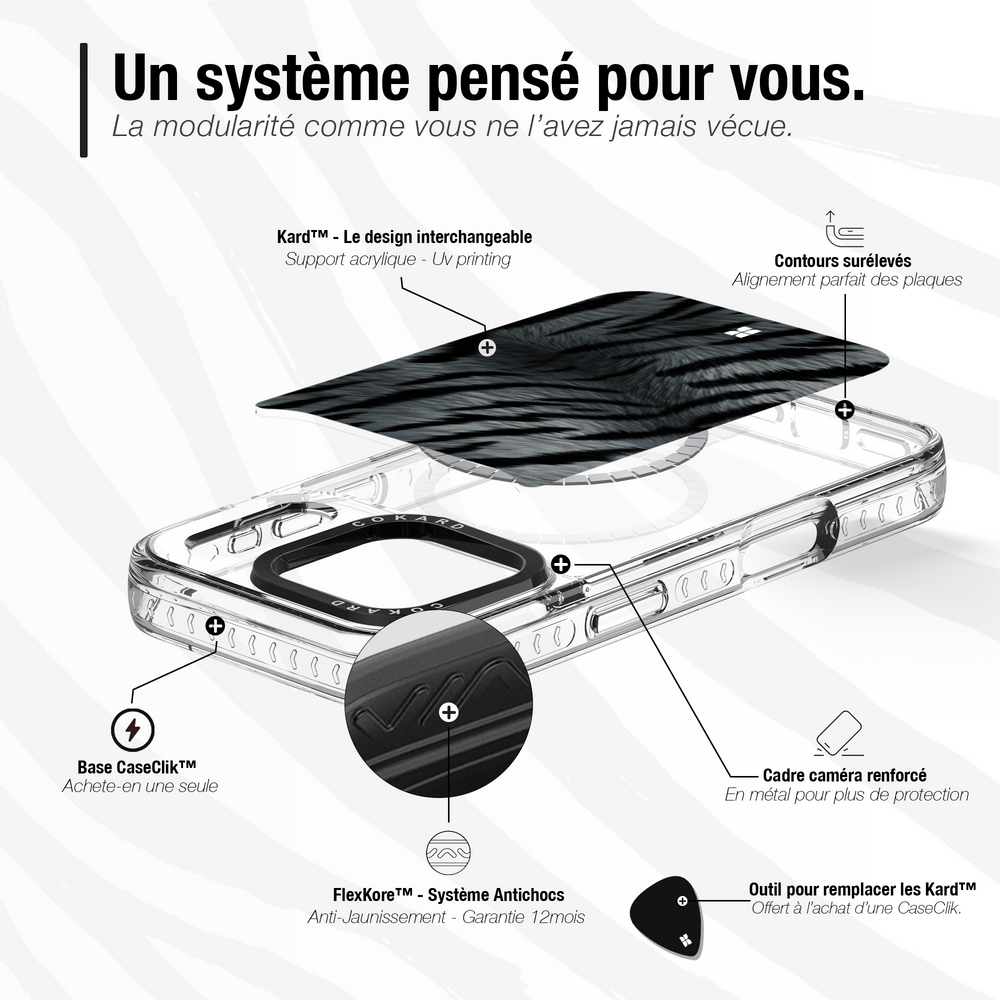 Tigre gris - Starter Pack