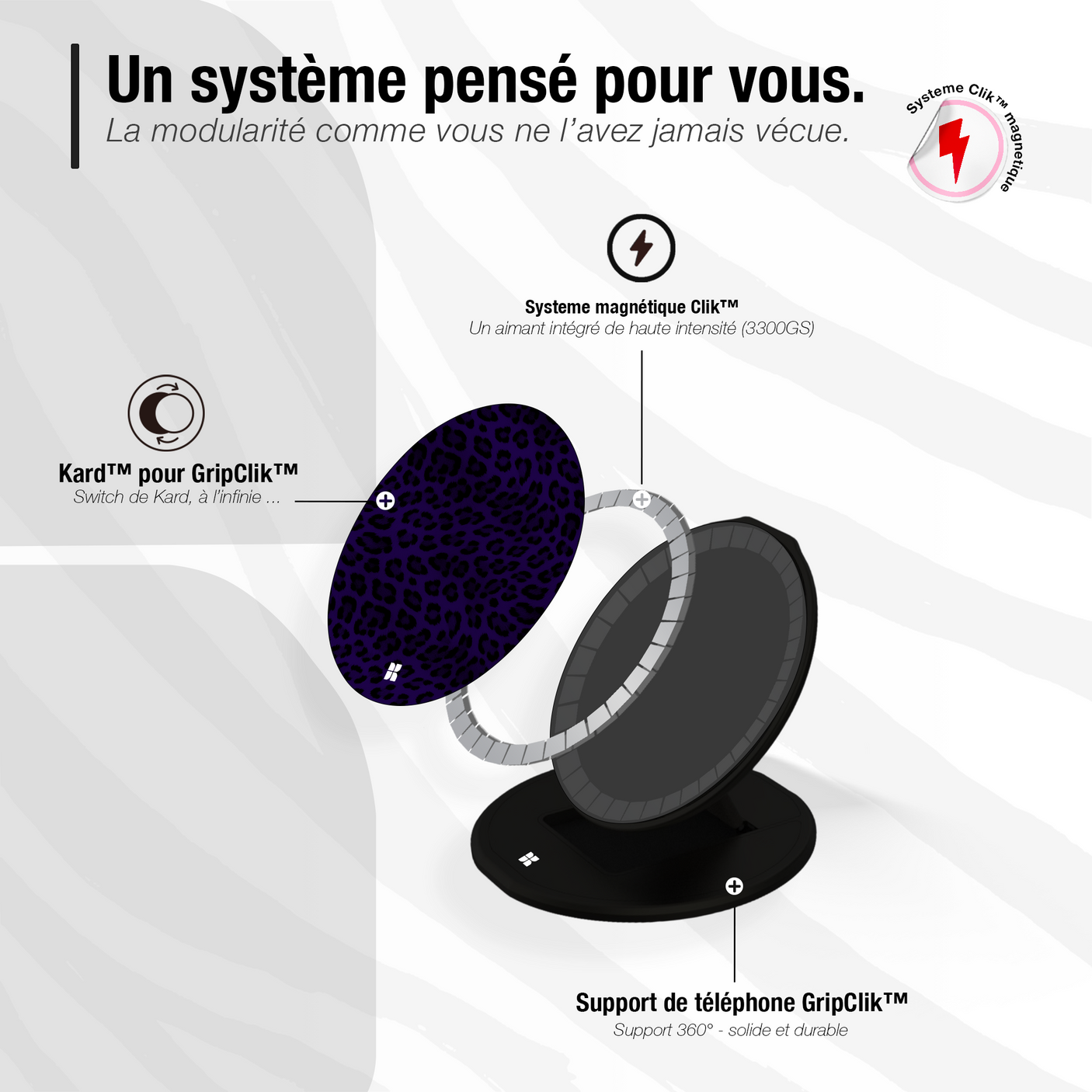 Leopard bleu - Starter Pack