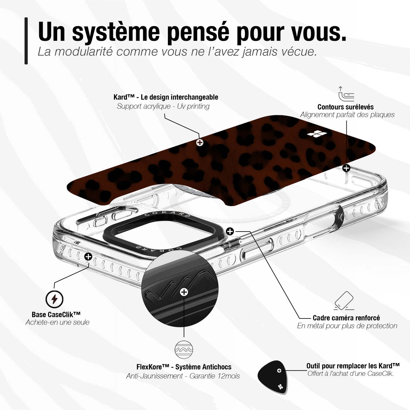 Leopard marron - Starter Pack