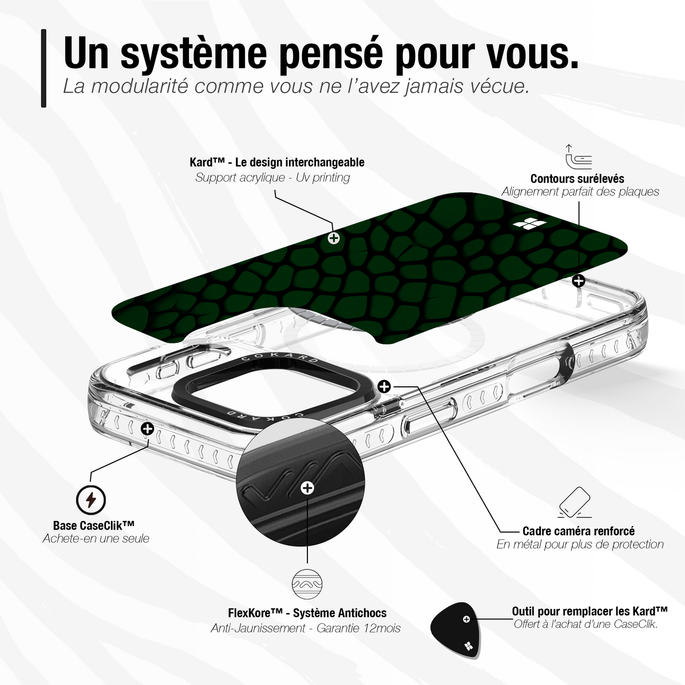 Reptile vert - Starter Pack