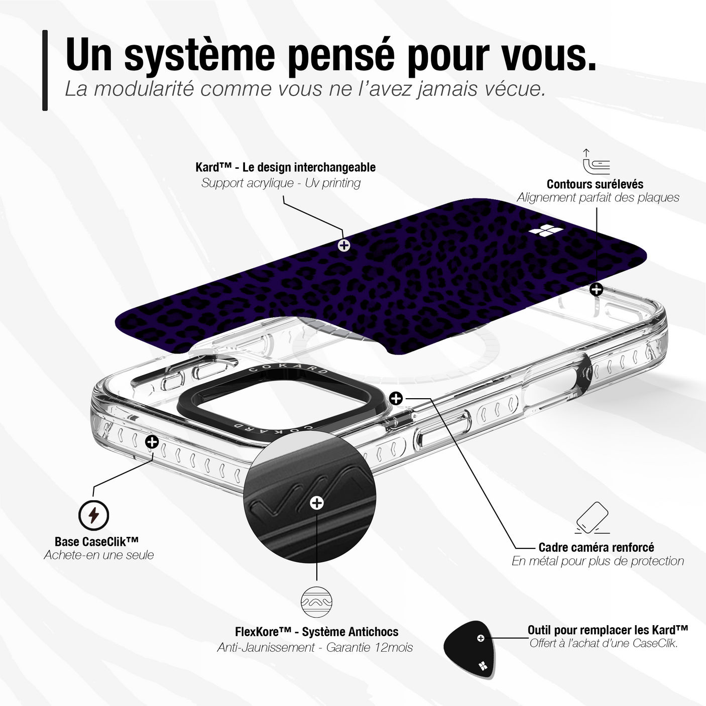 Leopard bleu - Starter Pack