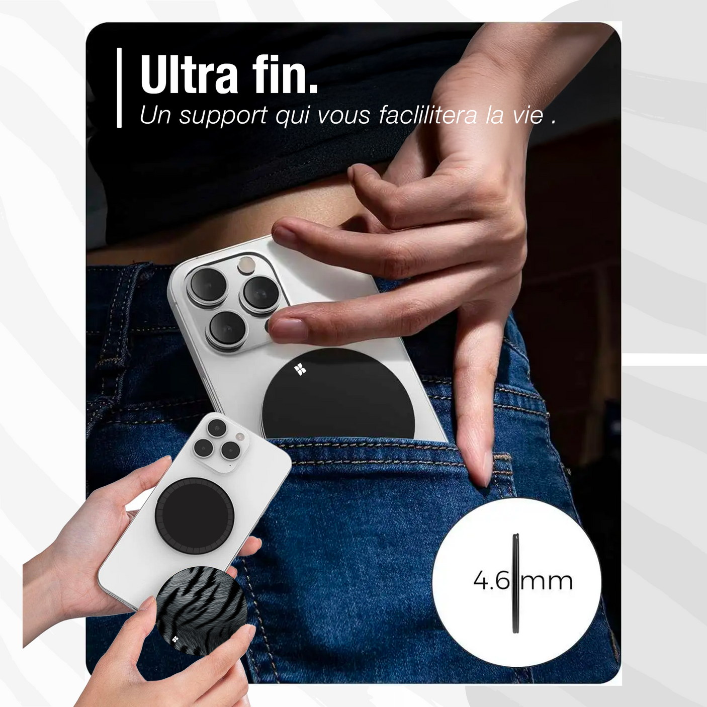 Tigre gris - Starter Pack