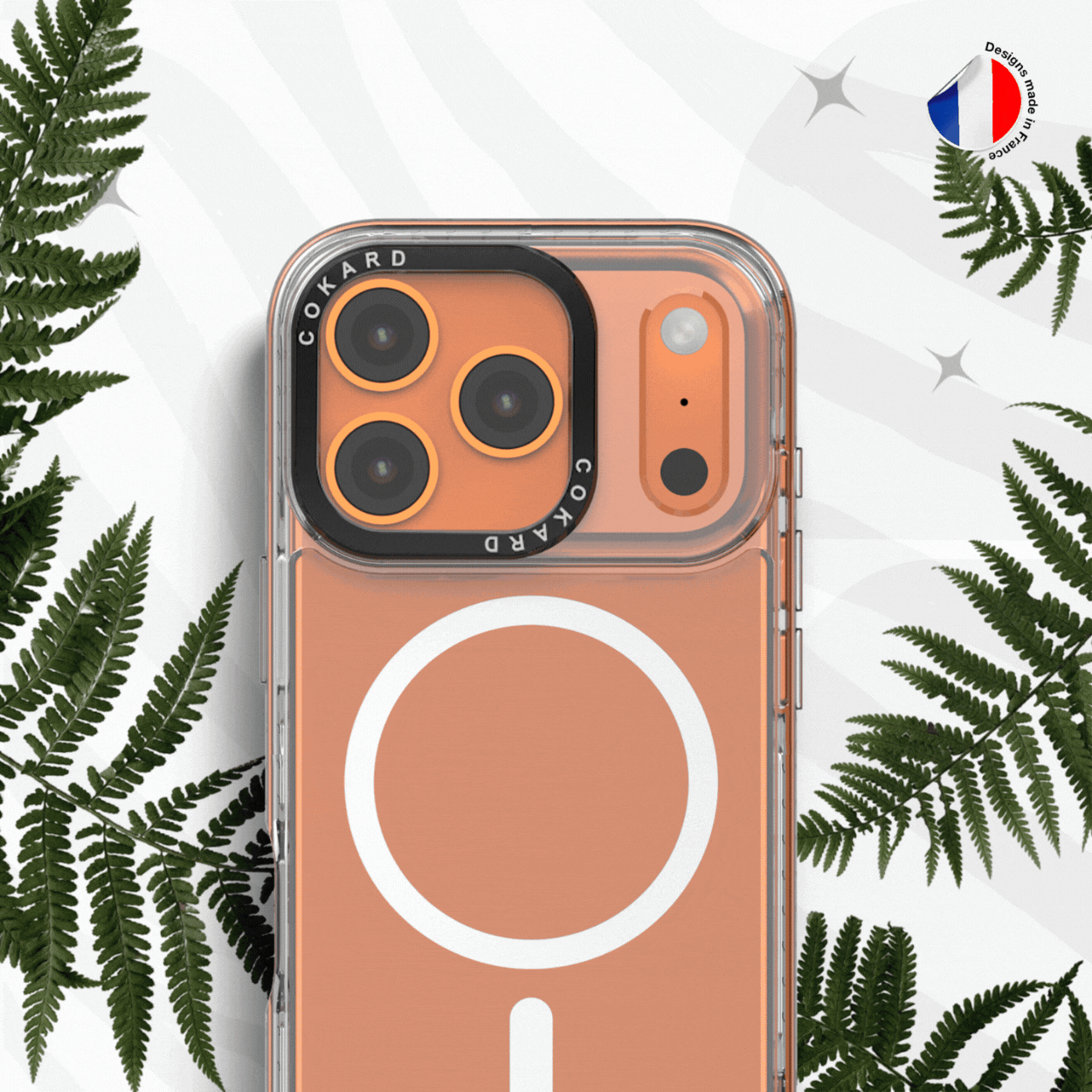 Zèbre blanc - Starter Pack