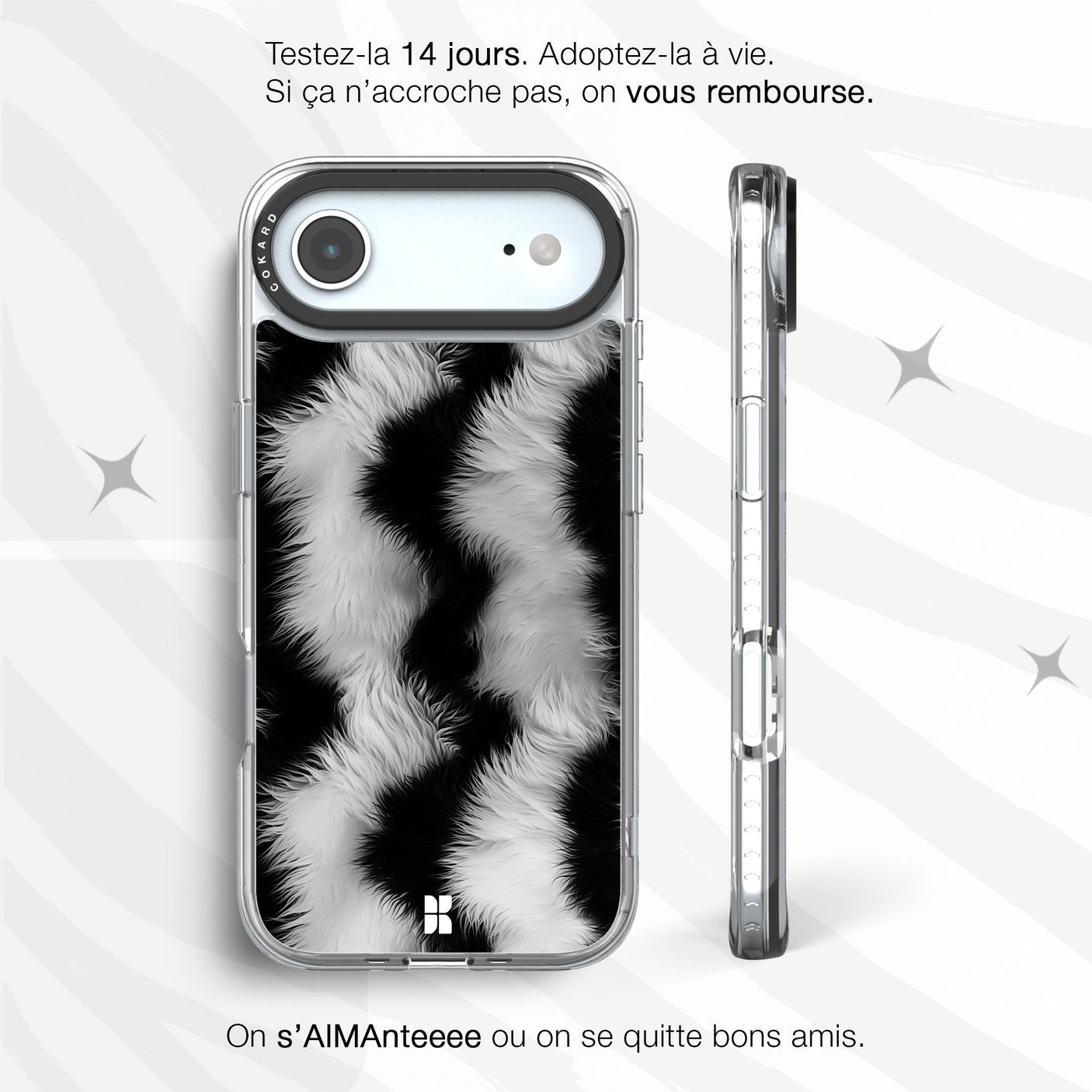 Zèbre blanc - Starter Pack