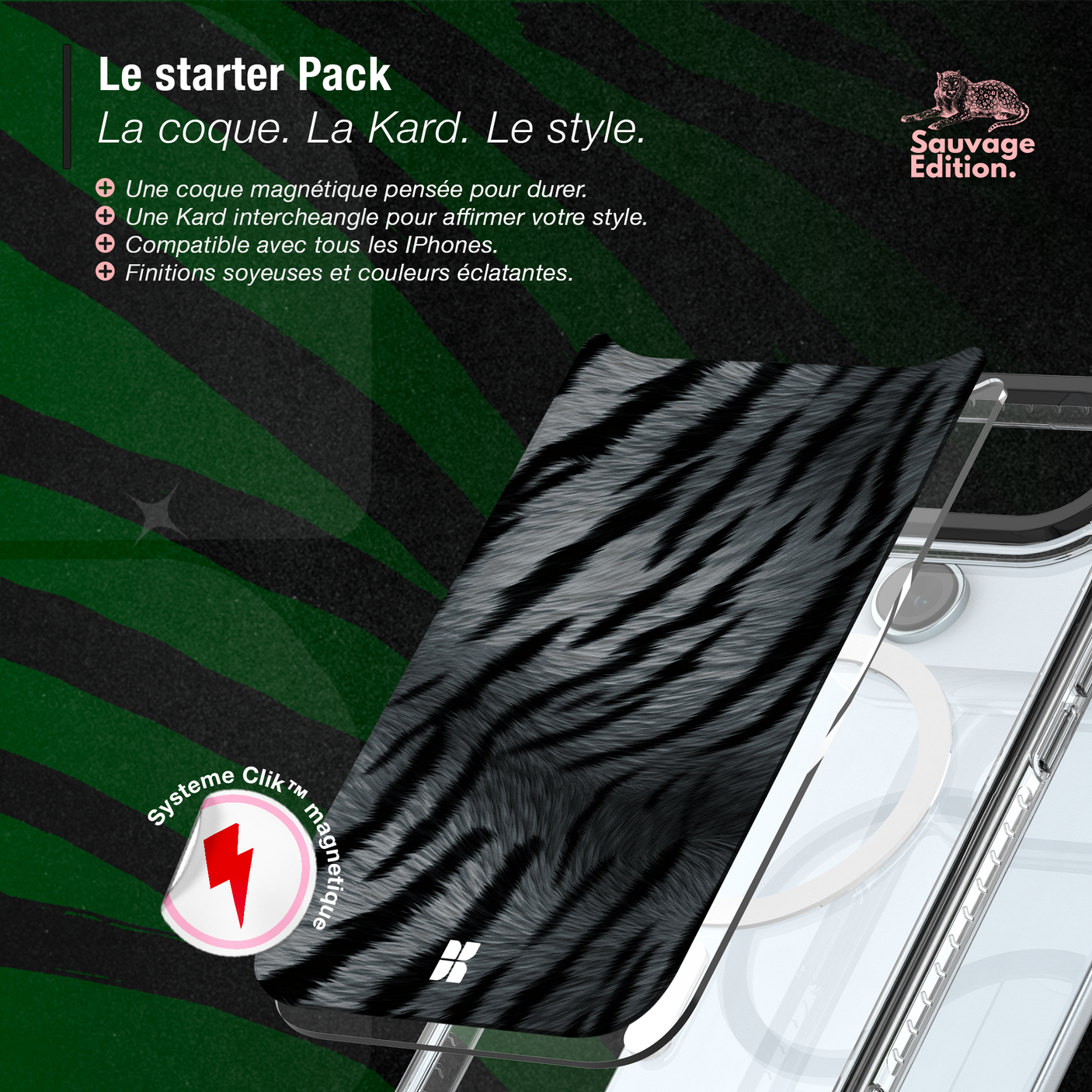 Tigre gris - Starter Pack