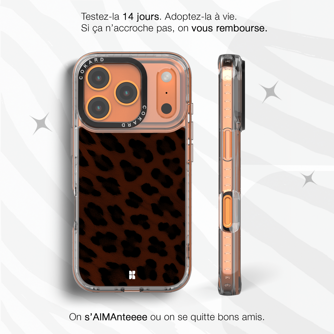 Leopard marron - Starter Pack