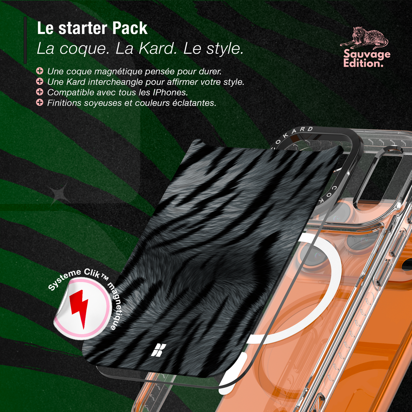 Tigre gris - Starter Pack