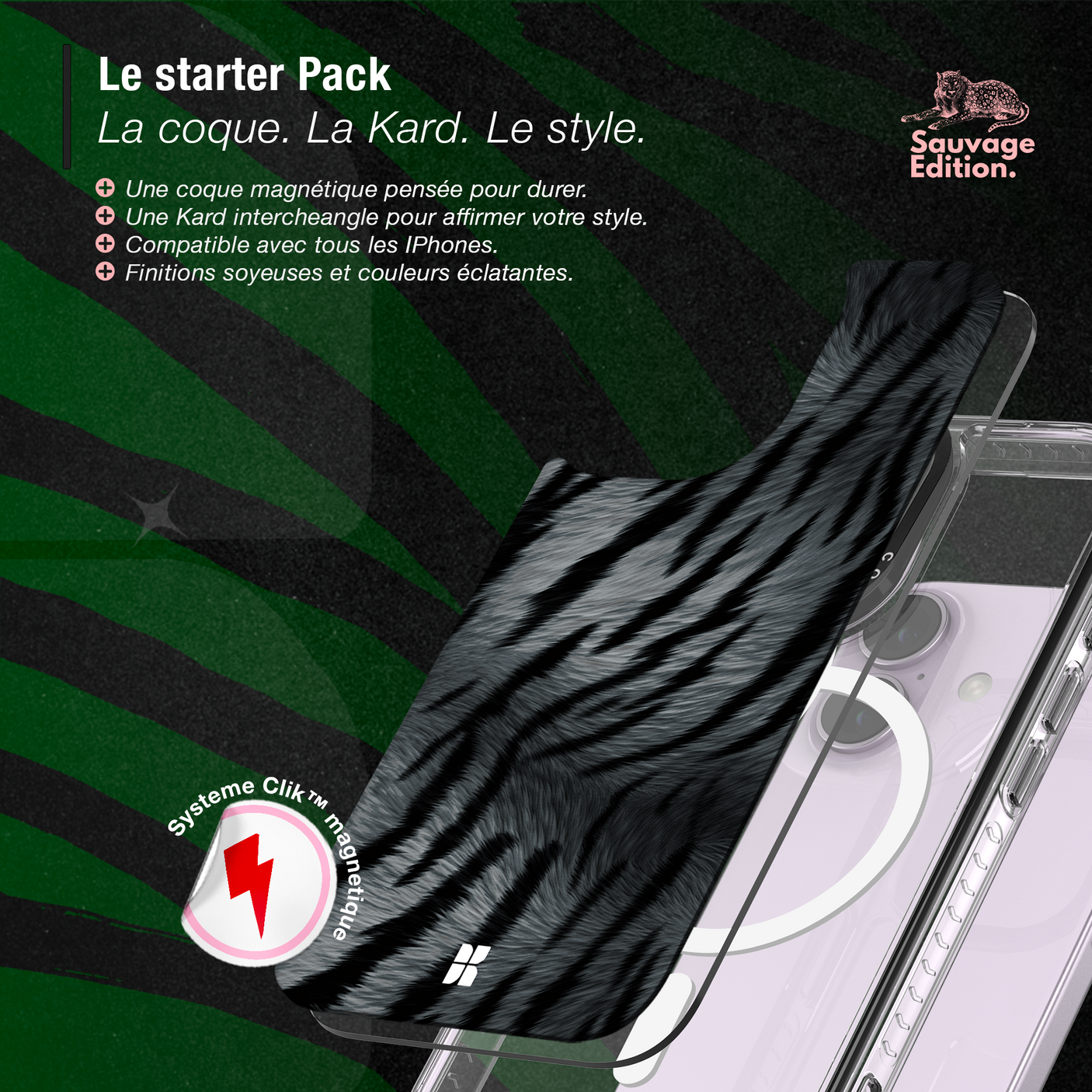 Tigre gris - Starter Pack